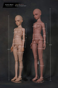 Doll Body Sizes