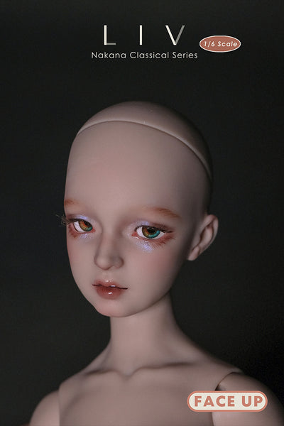 1/6 Liv [Discontinued]