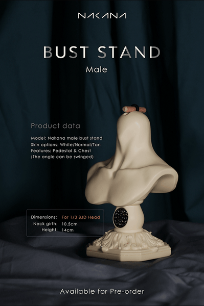 1/3 Male Bust Stand