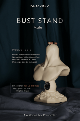 1/3 Male Bust Stand