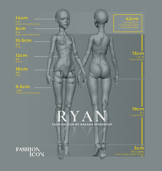 1/4 Ryan (include body)
